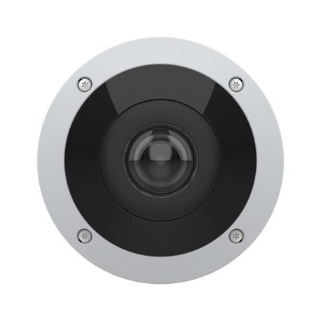 Caméra AXIS M4317-PLR