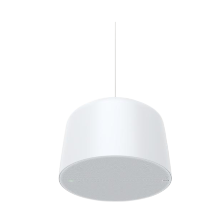 AXIS C1510 Haut-parleur réseau suspendu