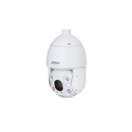 Caméra DAHUA SD6C3245GB-HNR-A-PV1
