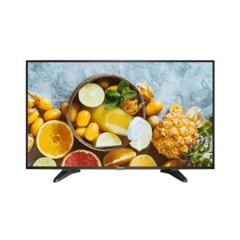 HIKVISION DS-D5043QE