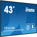 IIYAMA LH4360UHS-B2AG