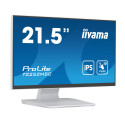 IIYAMA T2252MSC-W2