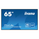 IIYAMA LH6541UHS-B1AG