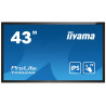 IIYAMA T4362AS-B1 | W3CAM