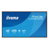 IIYAMA LH4364UHS-B1AG