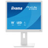 IIYAMA B1980S-W1