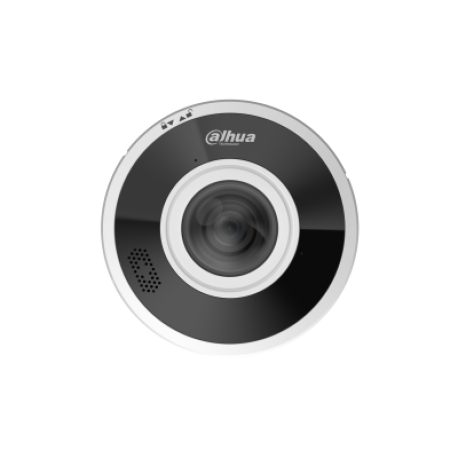 DAHUA IPC-EBW5641P-AS