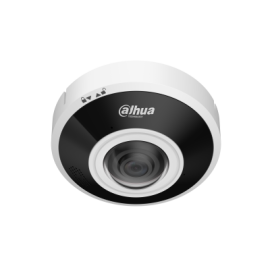 DAHUA IPC-EBW5641P-AS