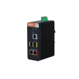 DAHUA IS4204-2GT-120