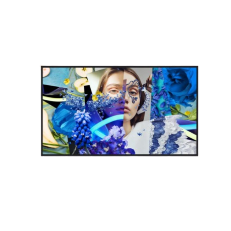 HIKVISION DS-D6032FN-DP