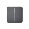 AJAX BASELINE Ajax CenterButton (2-gang) [55] graphite