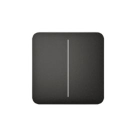 AJAX BASELINE Ajax SoloButton (2-gang) [55] graphite [BASELINE]
