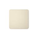 AJAX BASELINE Ajax SoloButton (1-gang/2-way) [55] ivory