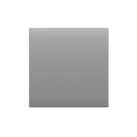 AJAX BASELINE Ajax CenterButton (1-gang/2-way) [55] fog  [BASELINE]