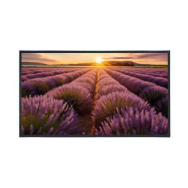 Écran LED 4K 55'' TECLINK TLMV554K 3840x2160 24/7