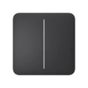AJAX BASELINE Ajax SoloButton (2-gang) graphite (BASELINE)