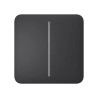 AJAX BASELINE Ajax SoloButton (2-gang) graphite (BASELINE)